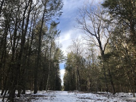 sabby Leaks von Nacktbildern auf OnlyFans