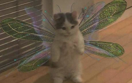 Saaga Aurora Nacktbilder auf OnlyFans