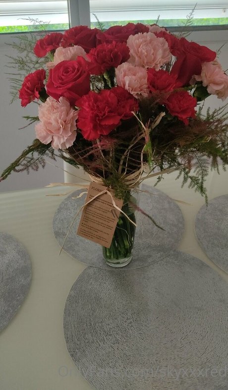 skyxxxred Profilbild