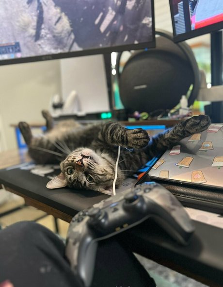 kylerquinnporn Nackt Leaks OnlyFans