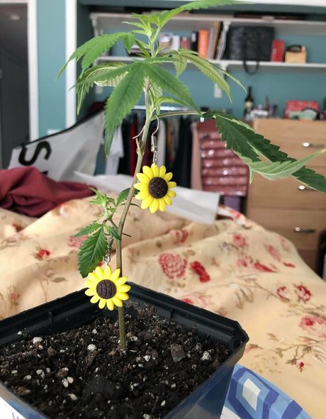 chubbychunky Porn OnlyFans Leak