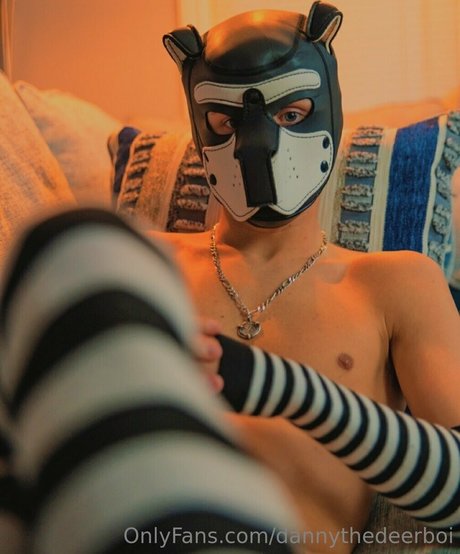 dannythedeerboi OnlyFans Brüste Bild