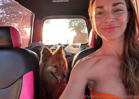 roxysdreamfree Leaked OnlyFans Pornografie