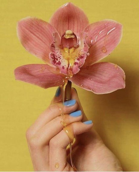 SashaSade OnlyFans Bilder