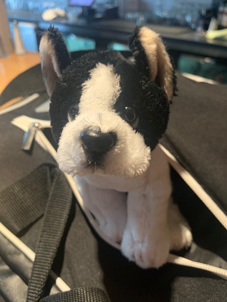 Grey Sweatpants Boy OnlyFans Nacktbilder geleakt