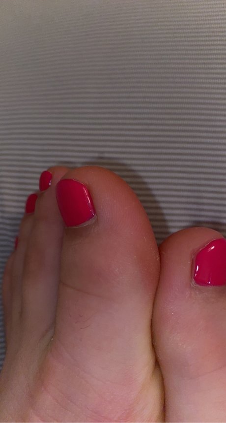 Piggies on the market OnlyFans kostenlos