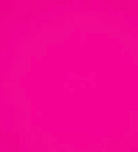 Piggies on the market Nackt auf OnlyFans Leaks