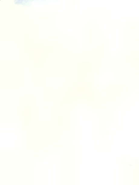 Sweety Kiwi OnlyFans-Leaks