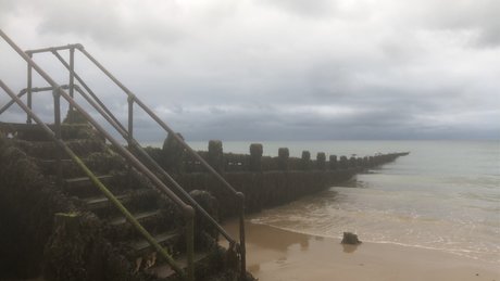 Your Queen Addi OnlyFans kostenlos