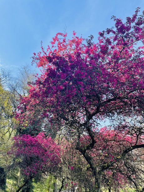 _Luna Deleis_ OnlyFans Star