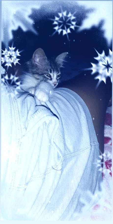 Lulita Leaked OnlyFans Fotos