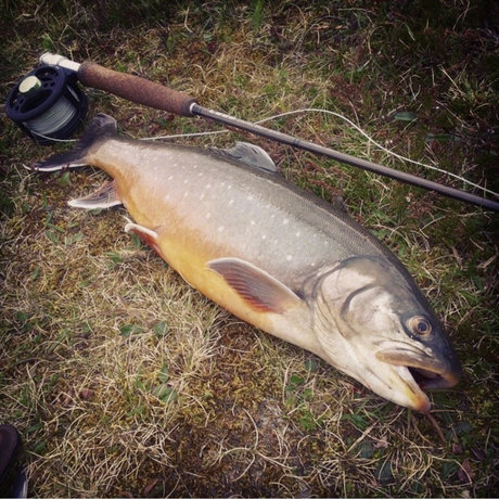 upskirt onlyfans Sex Porträt