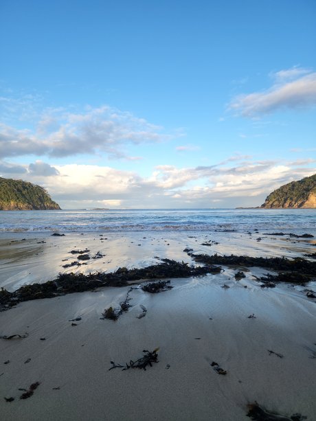 That Nawty B Nacktbilder von OnlyFans