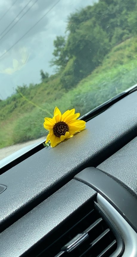 Let s talk_ OnlyFans-Sex