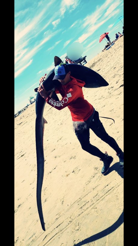 The Shark Sniper Nackt