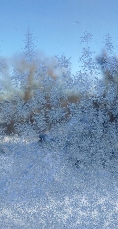 Miss Mallory OnlyFans Porn Nackt