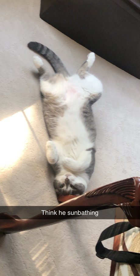 Yo Boi OnlyFans-Pornos