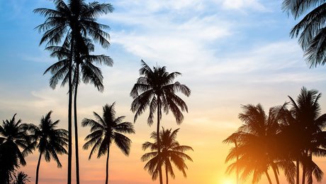 The Mandingo Club XXX VIP PREMIUM_ OnlyFans Pornografie