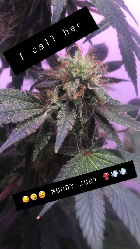 _SUITEB0i_ Sex OnlyFans