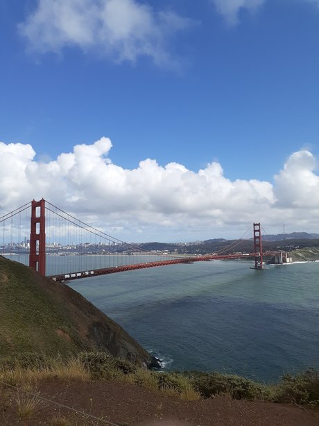 Joey Bowie OnlyFans Sex geleakt