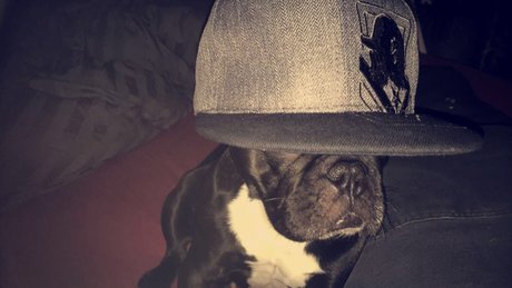 Olsern OnlyFans Nacktbilder geleakt