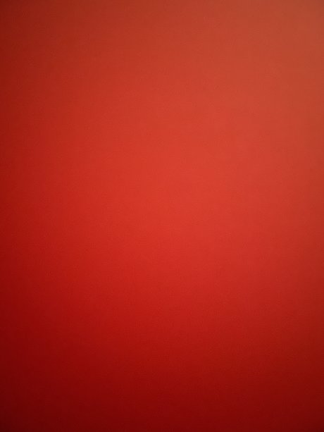 AussieNiNJA x OnlyFans Leak Pornografie