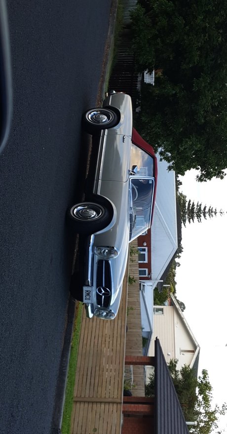 Pet OnlyFans Beiträge