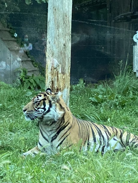 YRLA OnlyFans geleakte Bilder