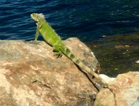 u9925087 Oben ohne OnlyFans