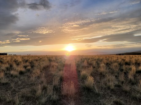 Fusionho Nacktbilder von OnlyFans geleakt