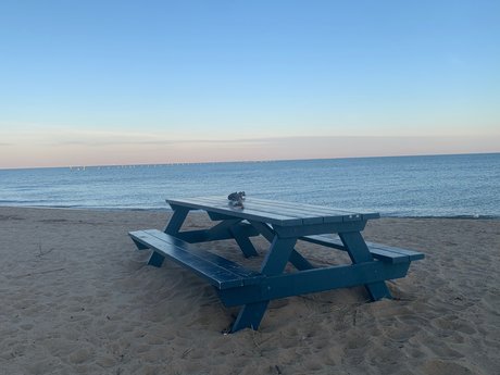 Xavier Nguyen OnlyFans-Fotos