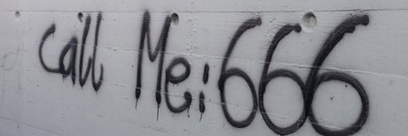 moth OnlyFans Leaks Sex