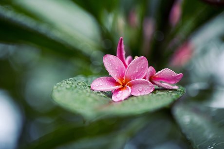 Zippy Lomax OnlyFans Pornografie gratis