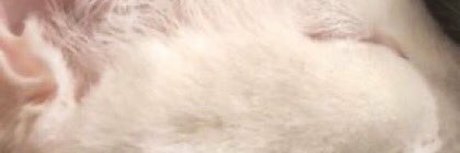 ivan pero en cuarentena OnlyFans geleakt