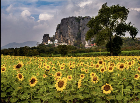 Elizabeth Faith Nackt auf OnlyFans