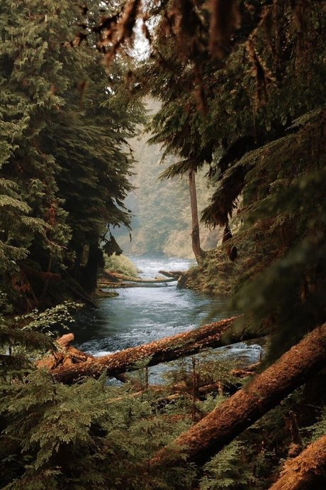 Kohl World OnlyFans-Sex