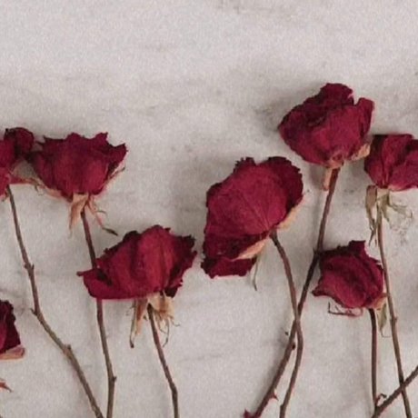 perfektermond Leaked OnlyFans Fotos