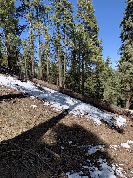 Damien and Lewis OnlyFans-Pornoleak