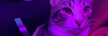 Fawad Khan OnlyFans Pornografie