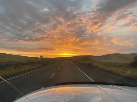 Papabear Nacktbilder von OnlyFans geleakt