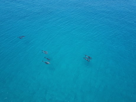 Flyingbeers Leaked Porn OnlyFans