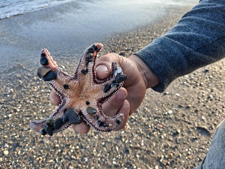 Lui OnlyFans Dirtyship geleakt