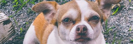 Foxy Goddess OnlyFans öffentliche Fotos OnlyFans