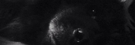 PaT D_ OnlyFans Nackt