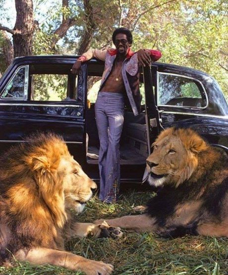 Freakyfeez OnlyFans-Leaks