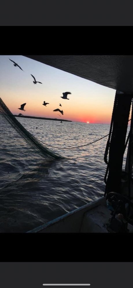 Kitty cat Leaked OnlyFans Sex