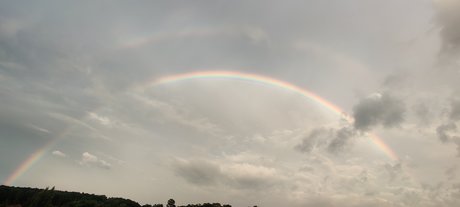 Muskox NSFW 18_ OnlyFans