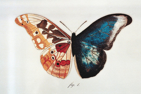 oscar peter Nacktbilder geleakt OnlyFans Aufgedeckt