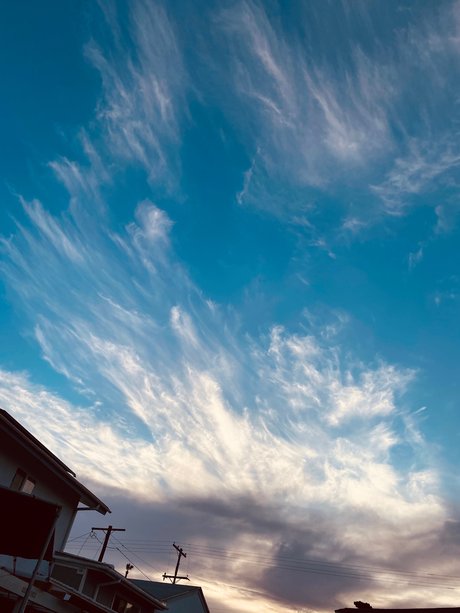 Tomo OnlyFans-Bilder