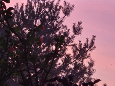 Najwi kszy Fan Nackt OnlyFans